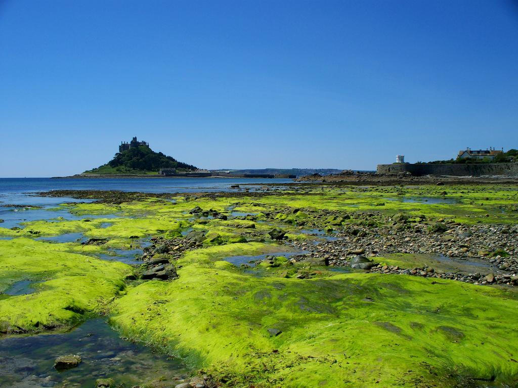 Wheal Rodney Holiday Park Marazion Phòng bức ảnh